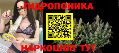 apvp Можайск