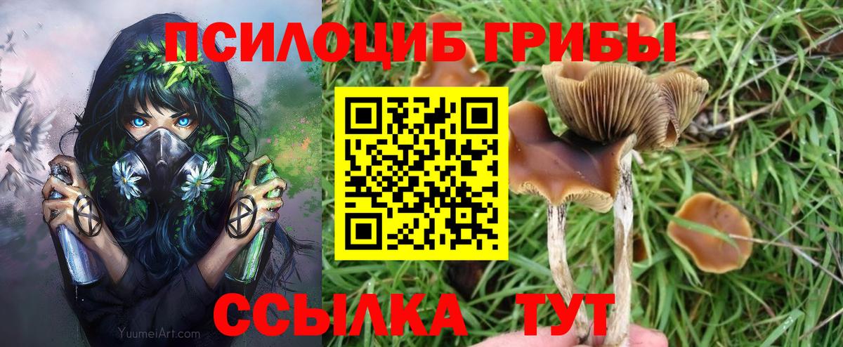 Южно-Сахалинск  Галлюциногенные грибы прущие грибы  где найти наркотики  Вход с VPN 