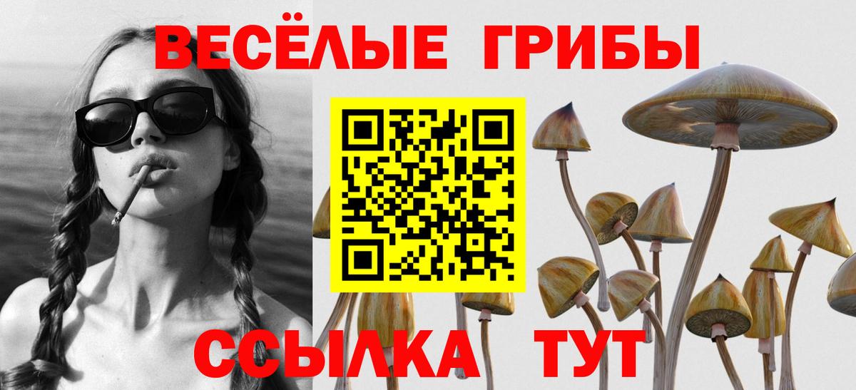 Псилоцибиновые грибы ЛСД Южно-Сахалинск